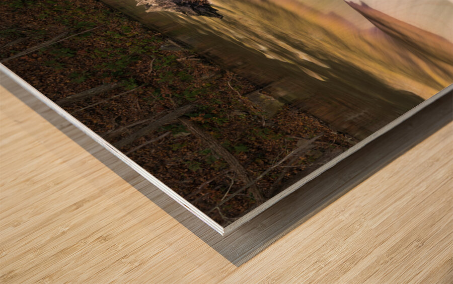 Valley Falls State Park Waterfall in West Virginia Wood print