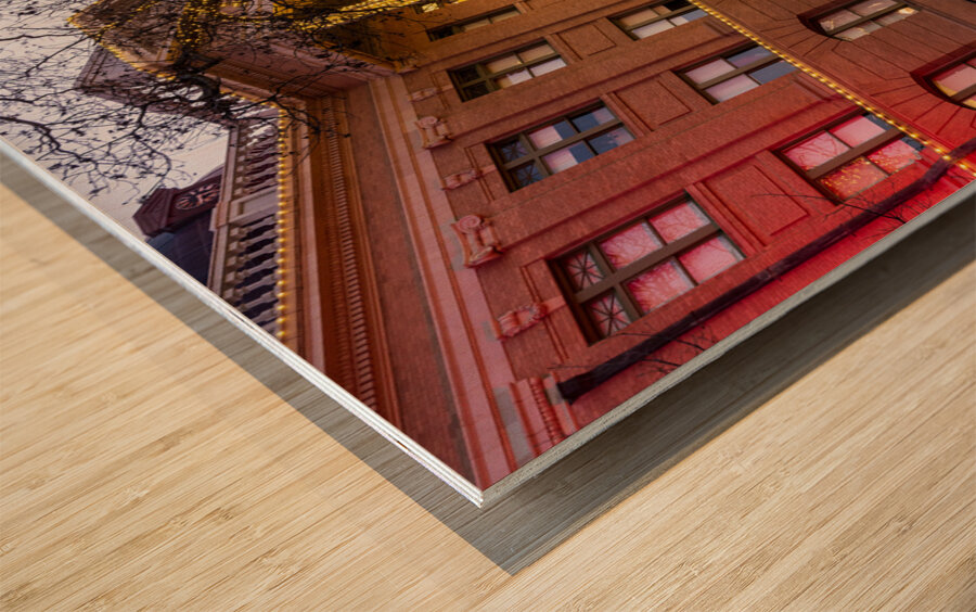 Entrance to Williamson County Courthouse in Georgetown TX Wood print