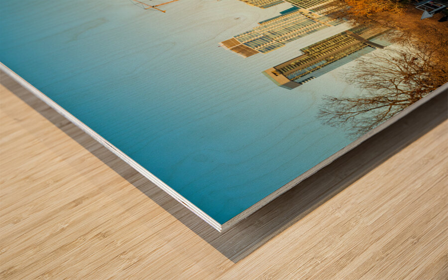 Cityscape of downtown Austin from Barton Springs Pool on New Yea Wood print