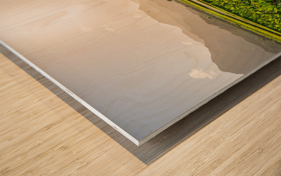 Verdant taro fields thrive under the Hawaiian sun near Hanalei B Impression sur bois