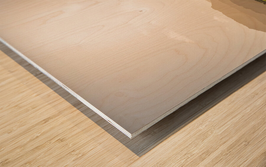 Verdant taro fields thrive under the Hawaiian sun near Hanalei B Wood print