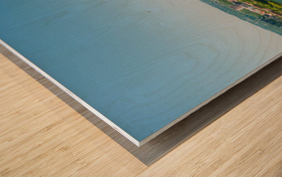 Spring aerial skyline of downtown Austin Texas with iconic cityscape Wood print