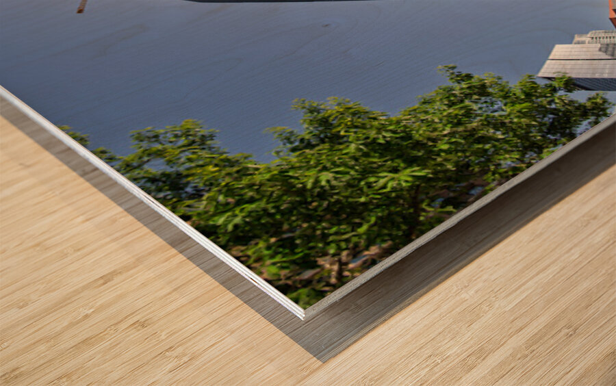 The Republic building in Austin Texas seen through fisheye lens Wood print