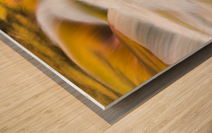 Valley Falls State Park Waterfall in West Virginia Wood print