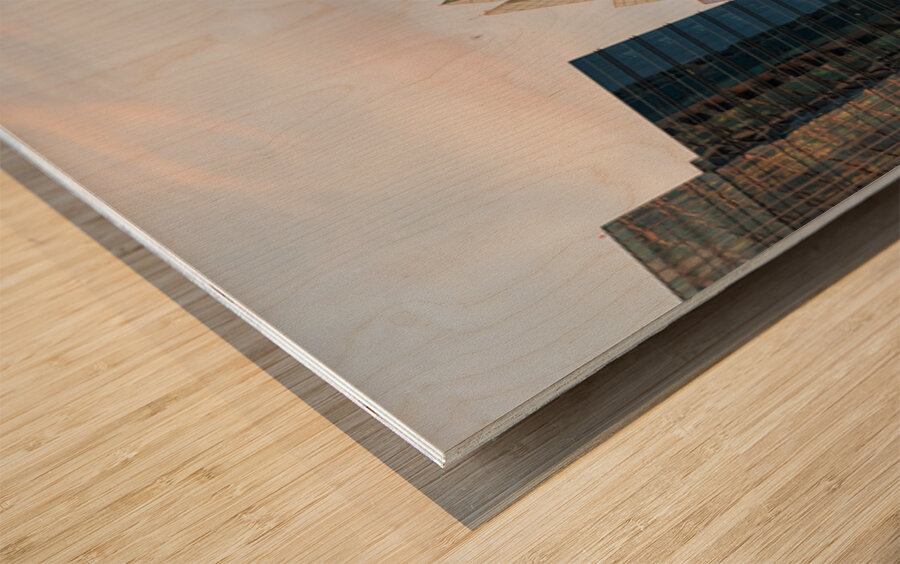 Frost Bank Tower in Austin said to resemble the head of an owl s Impression sur bois