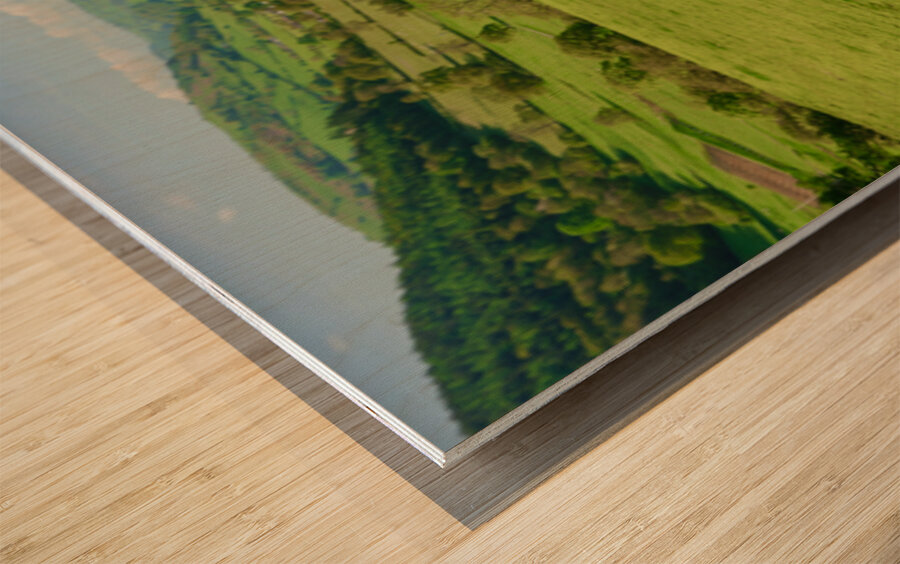 Pair of old hiking boots turned into plant pots with hill walkin Impression sur bois