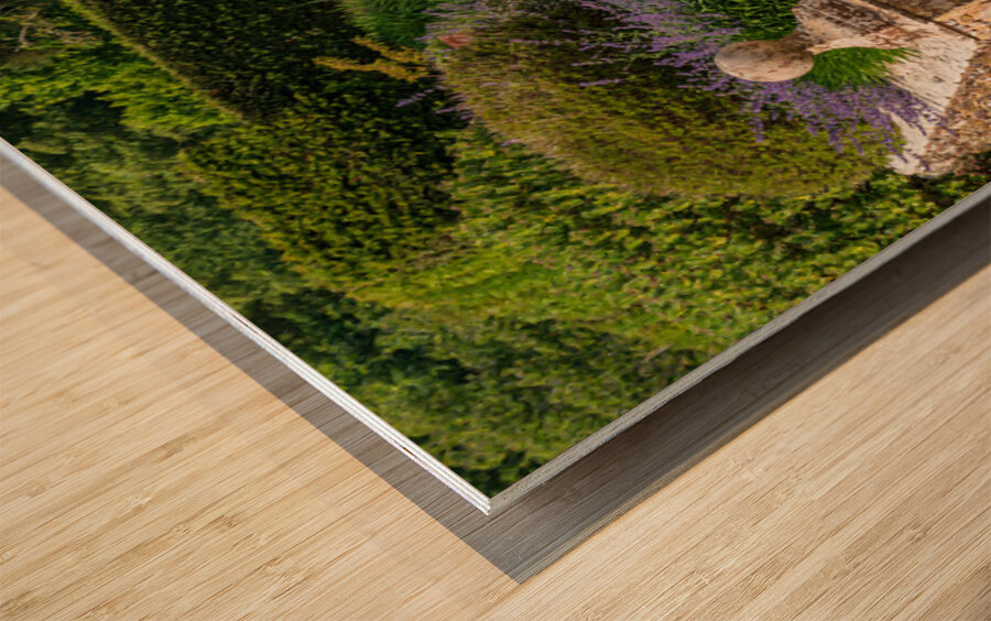 Stone steps into a hedged flower garden on the Isle of Wight Wood print