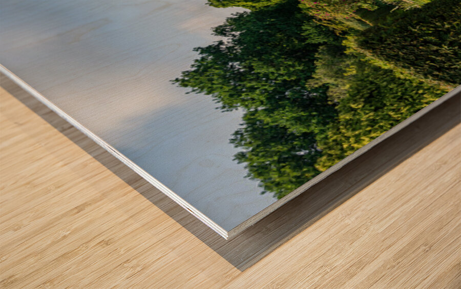 Stone steps into a hedged flower garden on the Isle of Wight Wood print