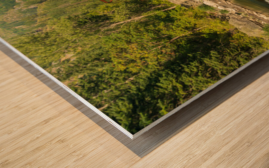 Tumwater Canyon pipeline bridge over Wenatchee River in Washingt Wood print