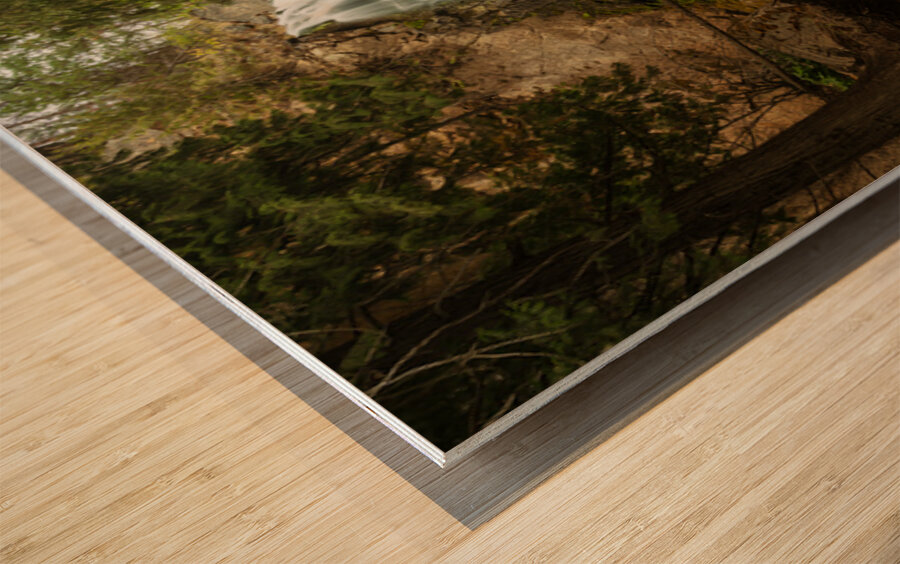 Falls Creek Falls near Winthrop in Cascade Mountains in Washingt Impression sur bois