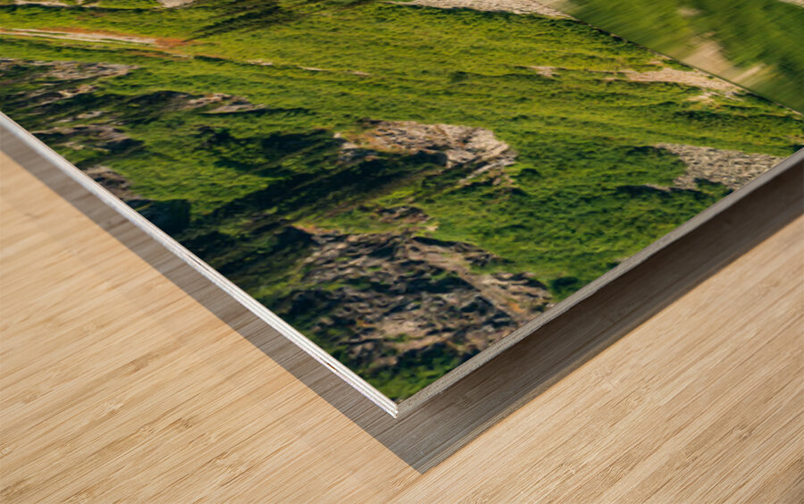 Mirror image reflection of Rainy Lake in North Cascades National Wood print