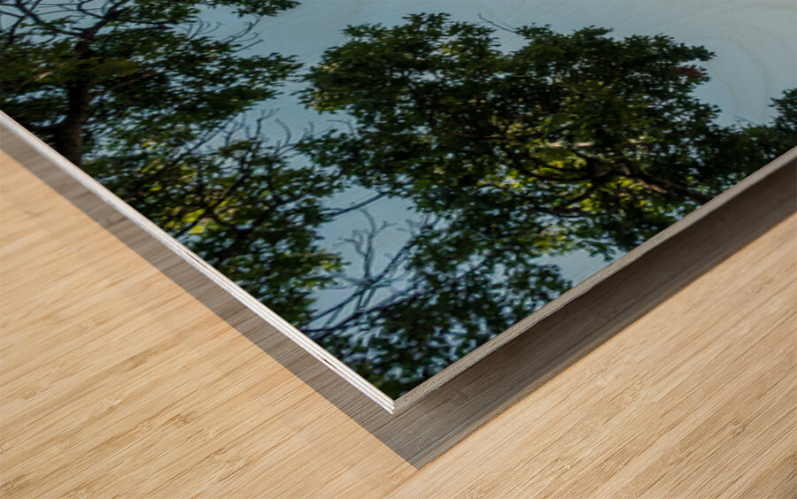 Historic Georgetown Courthouse in the town square in Texas Impression sur bois