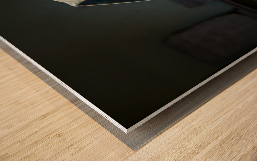 Head of the famous Khafre statue carved from  anorthosite gneiss Wood print