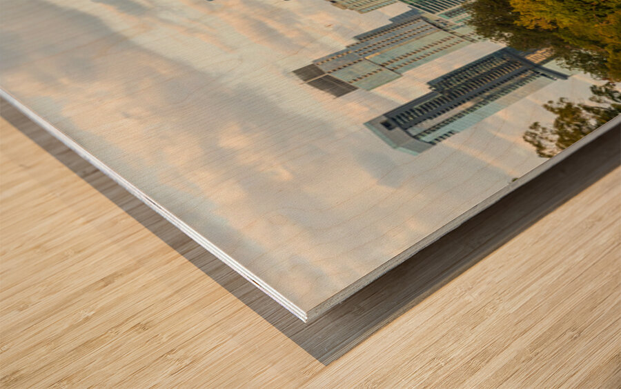 View of the Austin skyline at sunset over Barton Springs swimmin Impression sur bois