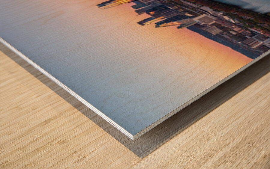 Sunset panorama of Austin Skyline and Rainey district 2026 Wood print