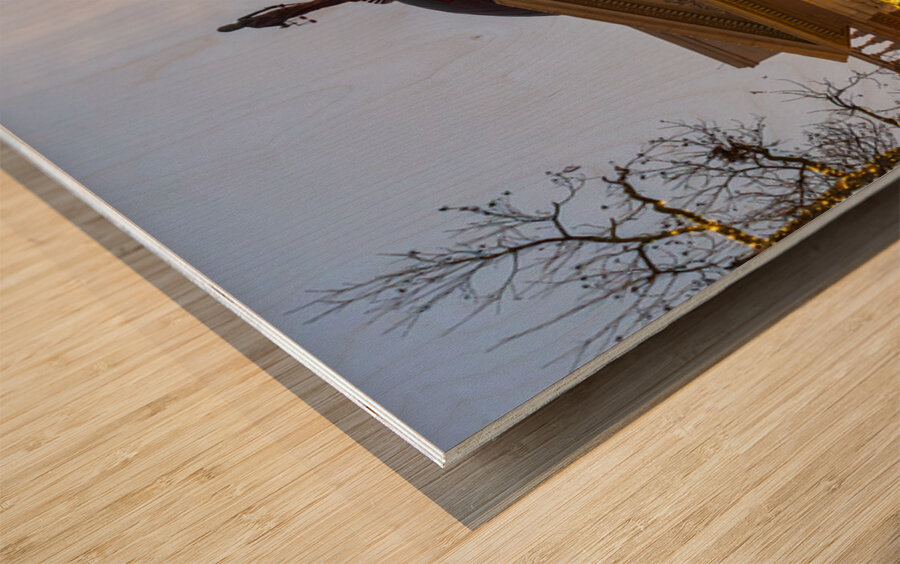 Sunset behind the Courthouse in Georgetown Texas Wood print