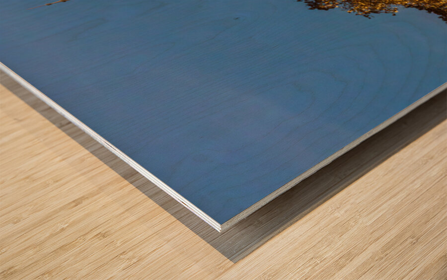 Sunset behind the Old Masonic Lodge in Georgetown Texas Wood print