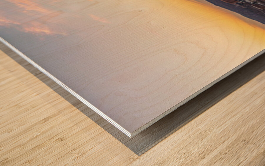 Wide panorama 2026 Austin skyline at sunset Wood print