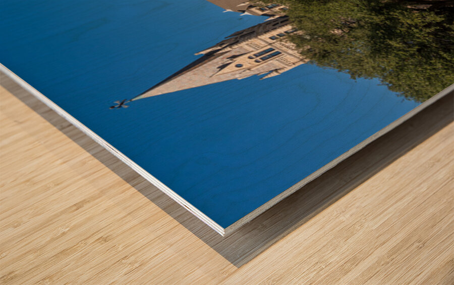 Southwestern University: Cullen Building Wood print