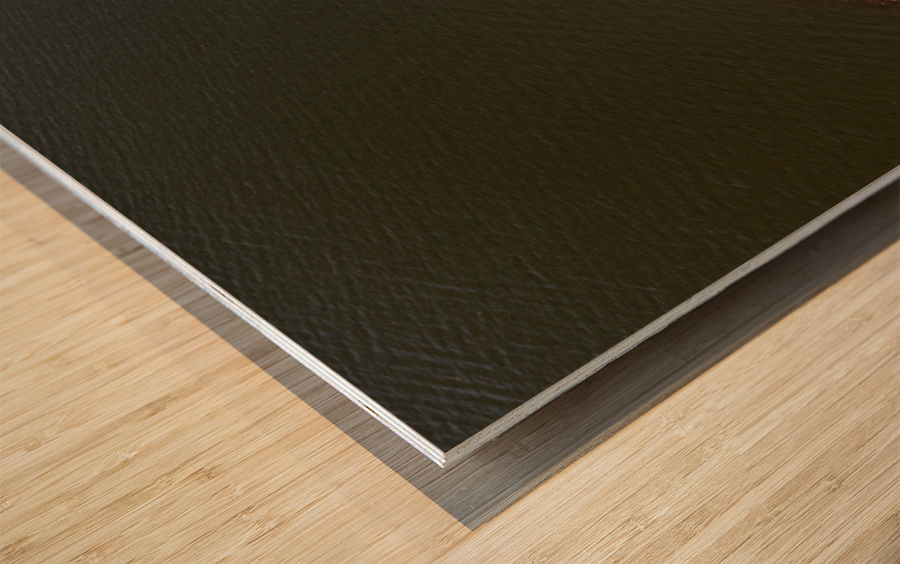 Aerial view of the lake and trail at Cheat Lake Park Wood print