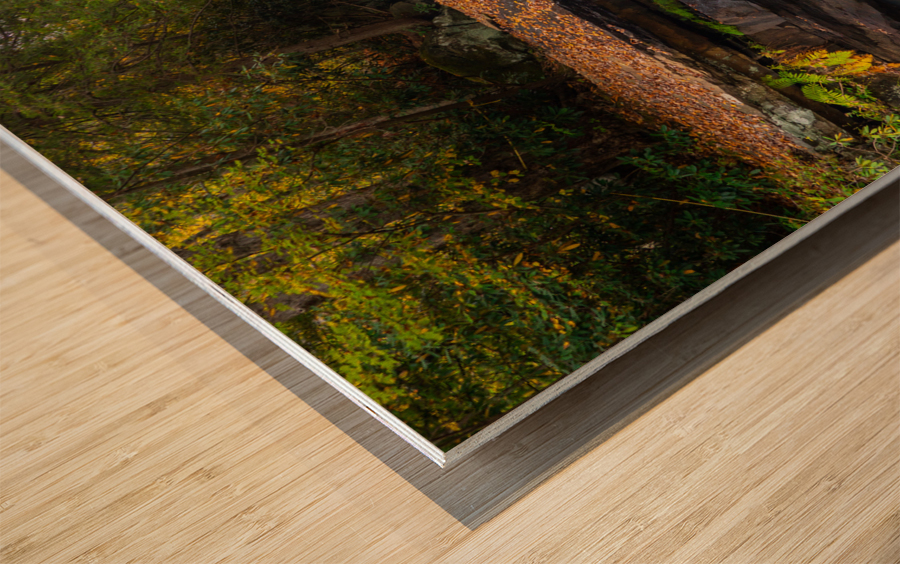 Waterfall on Deckers Creek near Morgantown WV Impression sur bois