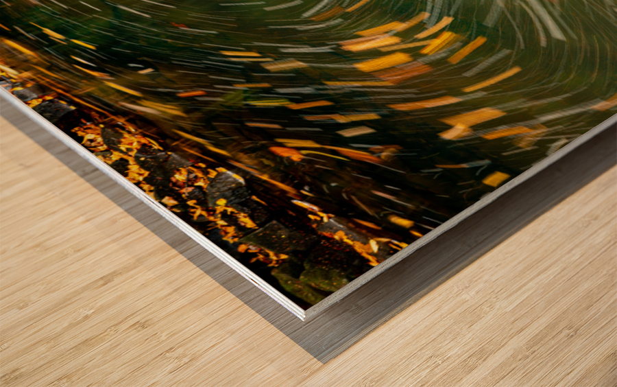 Swirling leaves on Deckers Creek Wood print