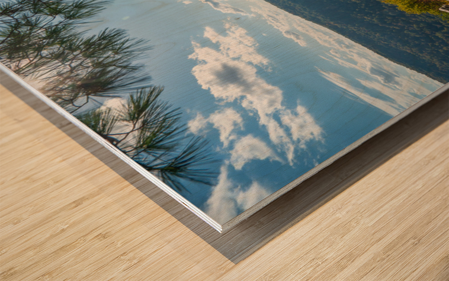 Coopers Rock state park overlook Impression sur bois