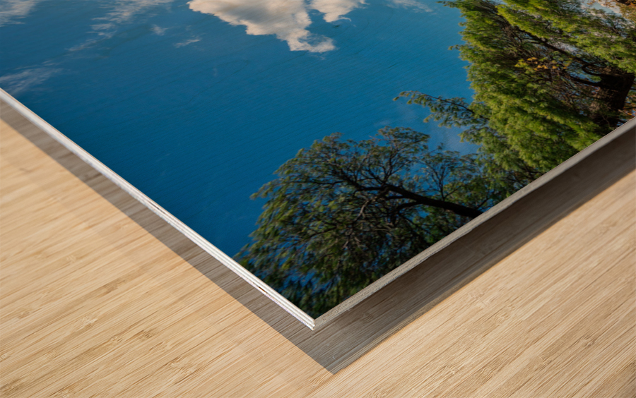 Coopers Rock state park overlook vertical format Wood print