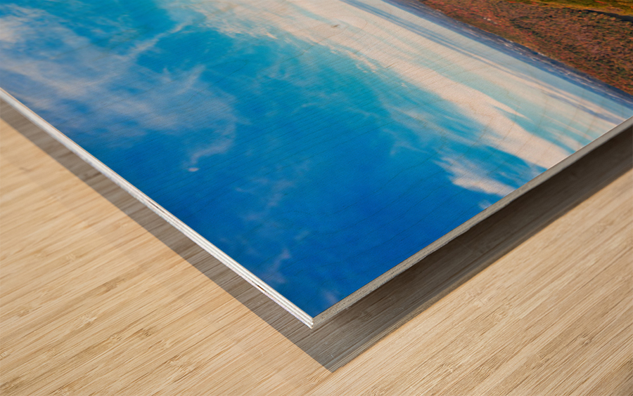 Coopers Rock state park overlook panorama with fall colors Wood print