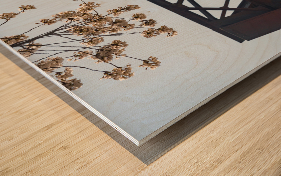 Spring blossoms by Steel girder bridge Morgantown Wood print