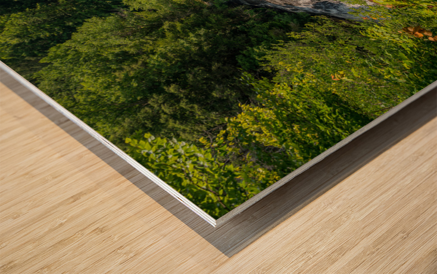 Burgess Falls in Tennessee in summer Impression sur bois