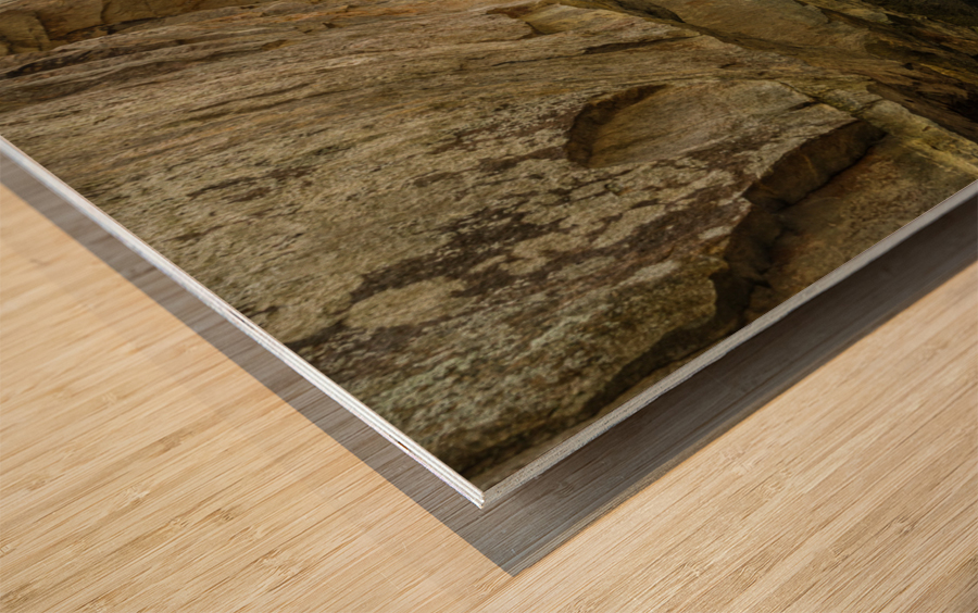 Boardwalk in Audra State Park near Buckhannon in West Virginia Impression sur bois