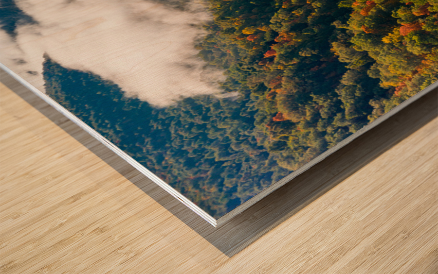 Narrow gorge of the Cheat River upstream of Coopers Rock State Park Wood print