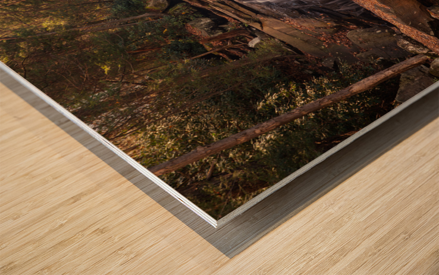 Water cascade on Deckers Creek near Masontown WV Wood print