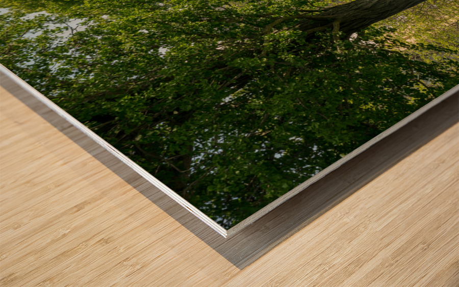 Mansion museum at Oglebay resort near Wheeling WV Wood print