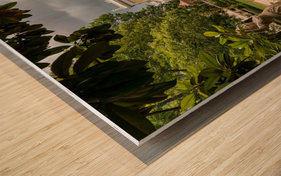 Stormy weather Belmont Mansion in Nashville Tennessee Wood print