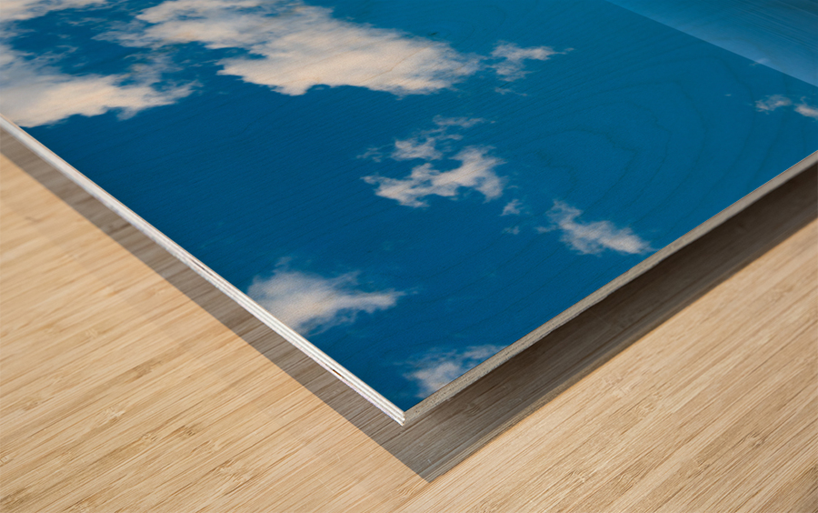 Sea level rise flooding the flowers for butterfly Impression sur bois