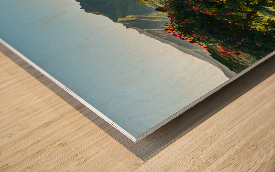 Striking landscape of garden island of Kauai Wood print