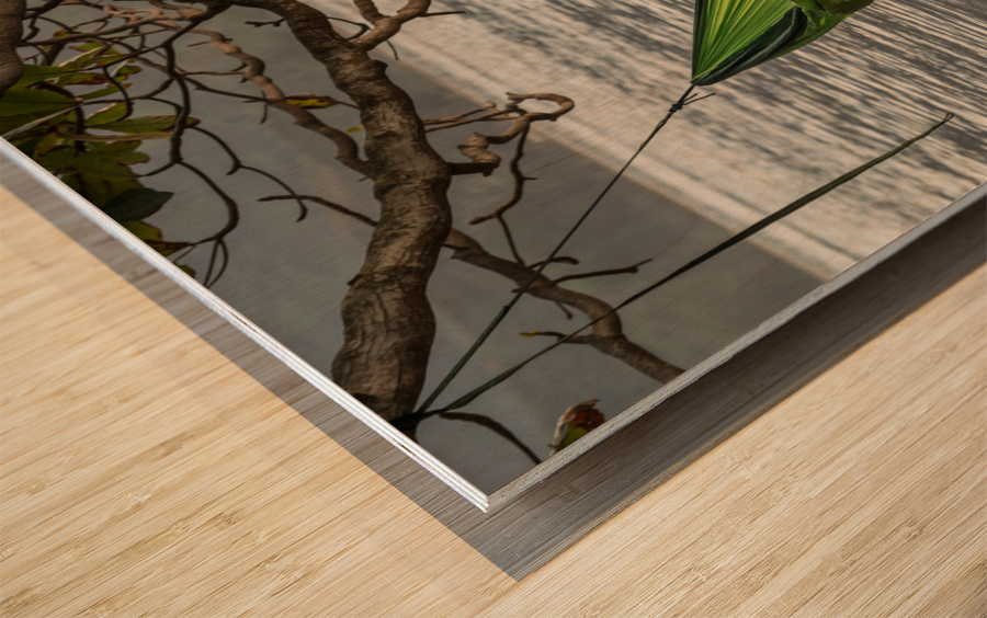 Just Chilling on Kauai Wood print