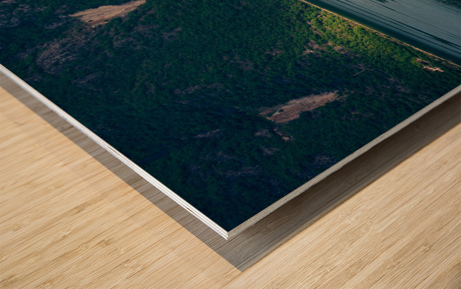 Our Lady of the Rocks Impression sur bois