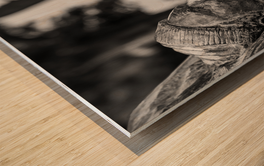 Statue of Lawrence Durrell in Corfu in black and white Wood print