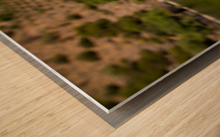 Glass of white wine by Douro river in Portugal Wood print