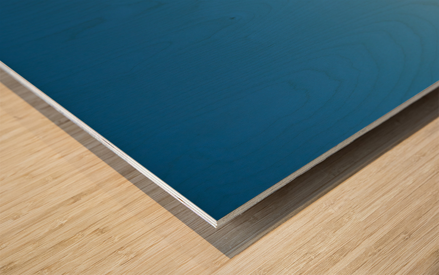 White ferris wheel on Steel Pier in Atlantic City Wood print