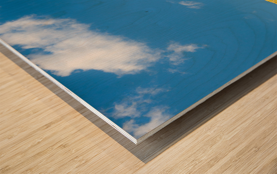 Green grassy lawn with blue sky and clouds Impression sur bois