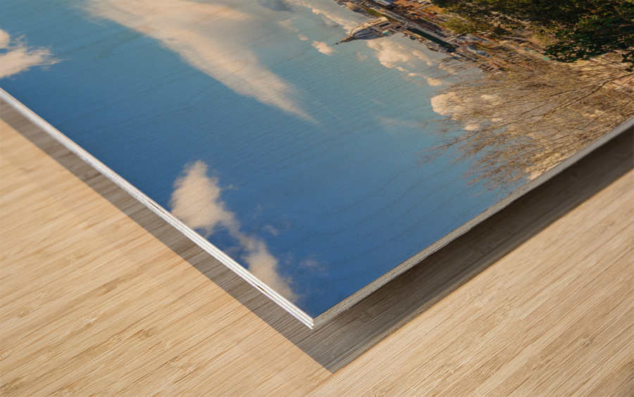 Skyline of the city of Rome Italy Wood print