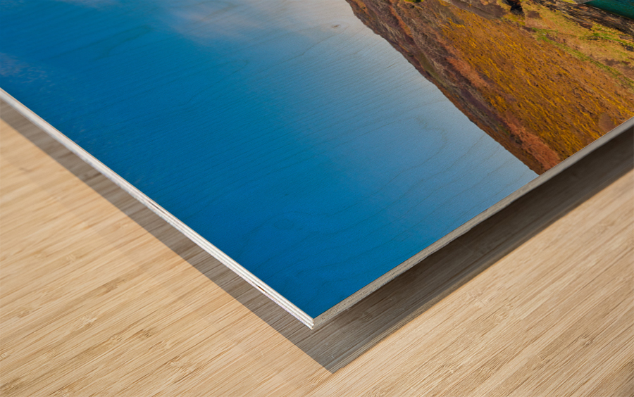 Narrow path in front of colorful harbor in Boscastle Wood print