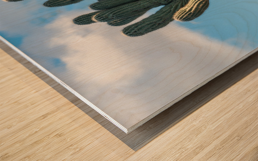 Crested Saguaro in National Park West Wood print