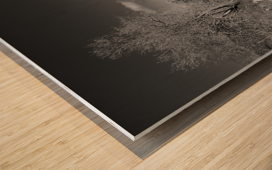 The road goes on for ever Wood print