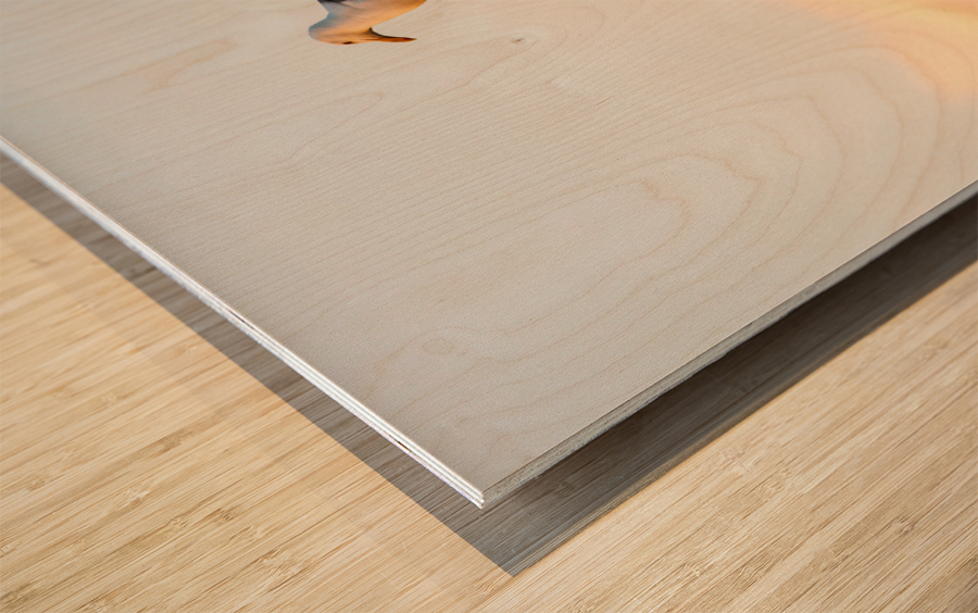 Seagull on a cast iron street lamp at dusk Wood print