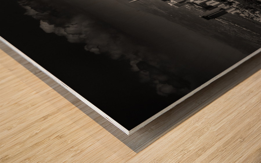 Moody Black and White photo of San Francisco Wood print